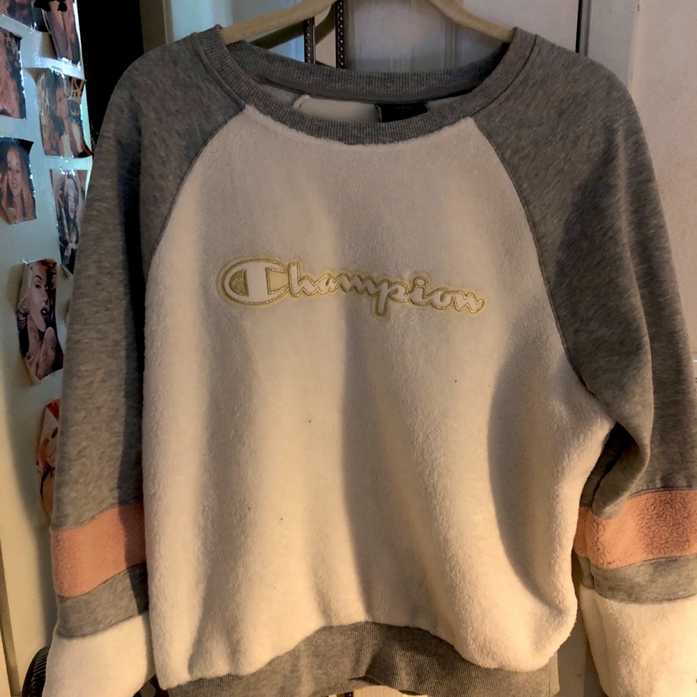 Champion sweater